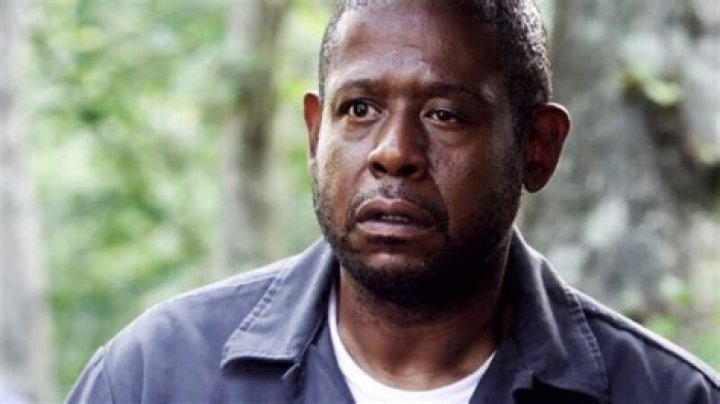 Forest Whitaker's Left Eye (saprol11)